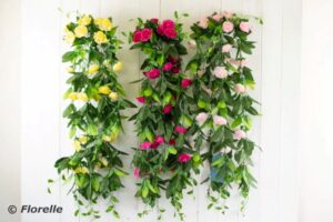 80cm ROSE TRAIL - 3 ASST