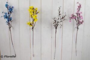 SINGLE BABYS BREATH STEM - 4 ASST