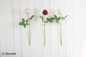 SGL ROSE STEM - 3 ASST