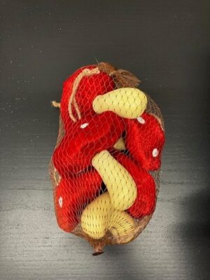 5pk TOADSTOOLS IN MESH BAG