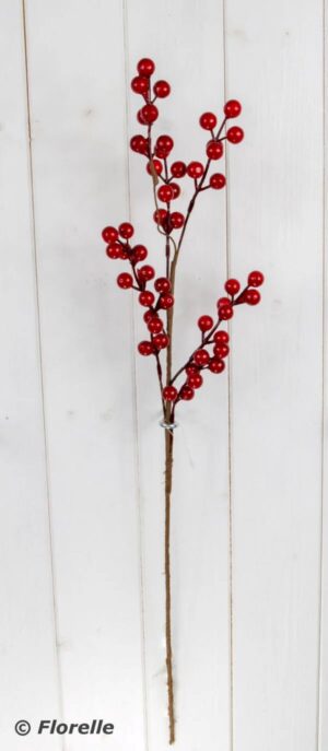 BERRY STEM