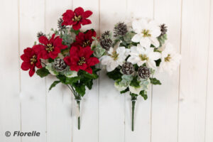 POINSETTIA CONE BUNCH