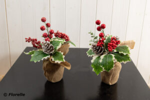 RED BERRIES IN BURLAP