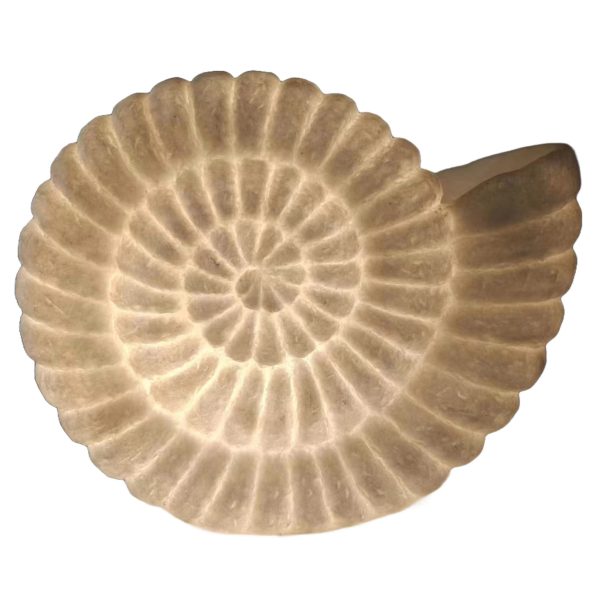 AMMONITE SHELL T/LAMP