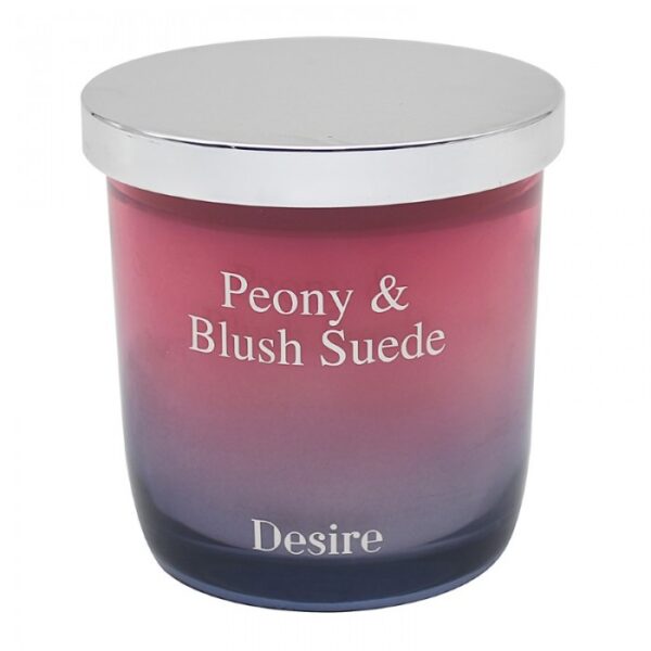 200g PEONY & BLUSH SUEDE CANDLE