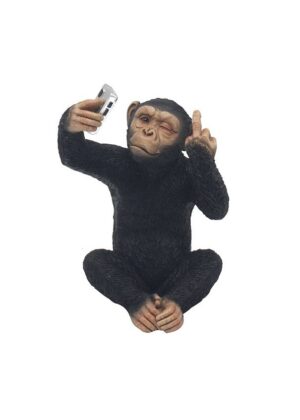 CHEEKY MONKEY SELFIE