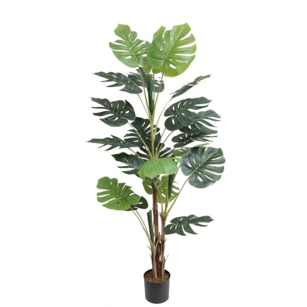 165cm MONSTERA POTTED PLANT