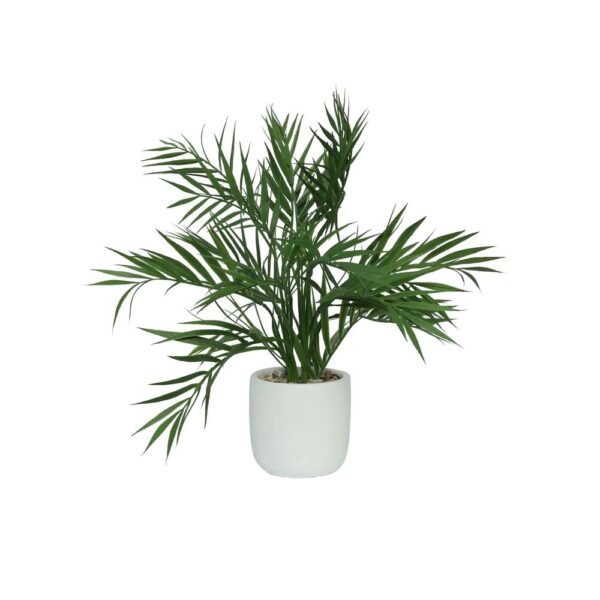 BOTANICA PALM POTTED