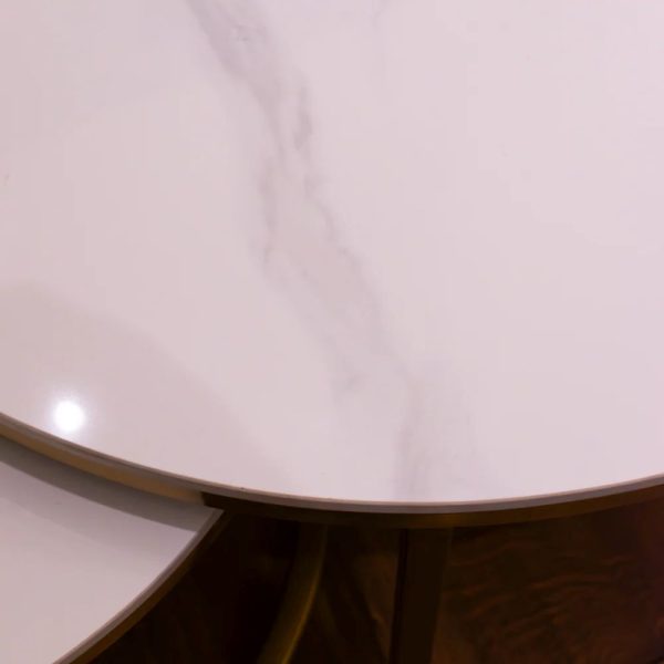 VIENNA SET OF 2 MARBLE COFFEE TABLES - Image 6