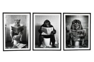 20x25cm ANIMAL TOILET FRAMED CANVAS