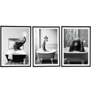 20x25cm ANIMAL BATH FRAMED CANVAS