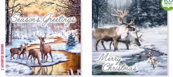 12pk WOODLAND CHRISTMAS CARDS