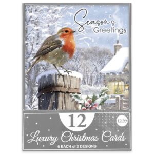 12pk TRAD ROBIN CHRISTMAS CARD