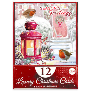 12pk SNOWMAN/ROBIN CHRISTMAS CARD