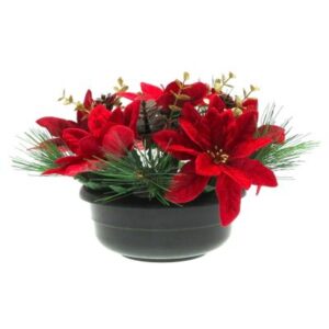 RED POINSETTIA GOLD EUCALYPTUS IN POT